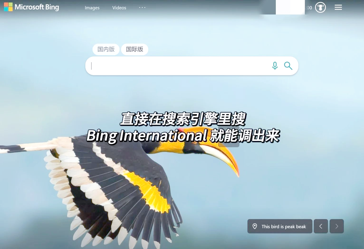 必应国际版下载方法=必应国际版 mp4 下载