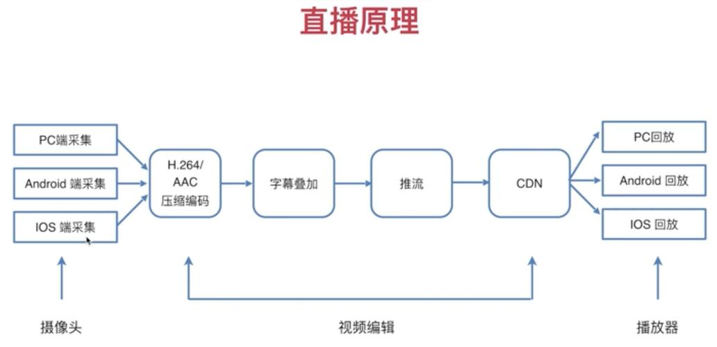包含学习通app如何直播的词条