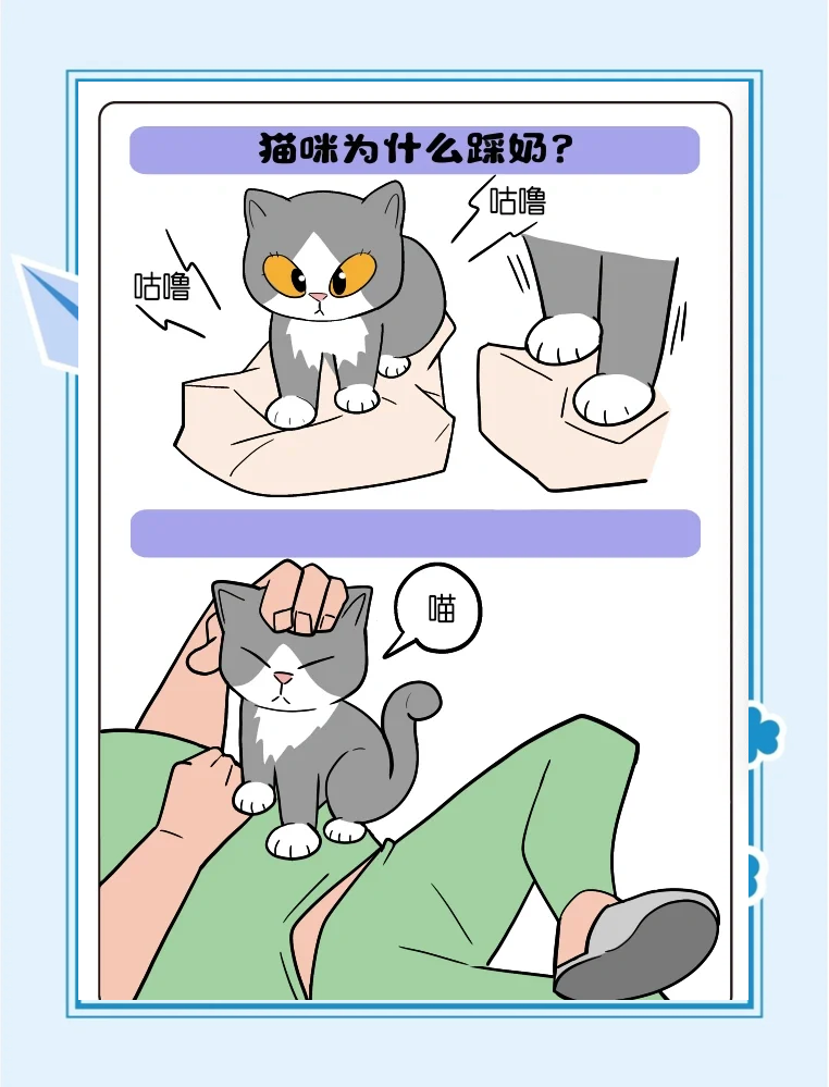 为什么猫会踩奶呢为什么在线 为什么猫会踩奶呢为什么在线