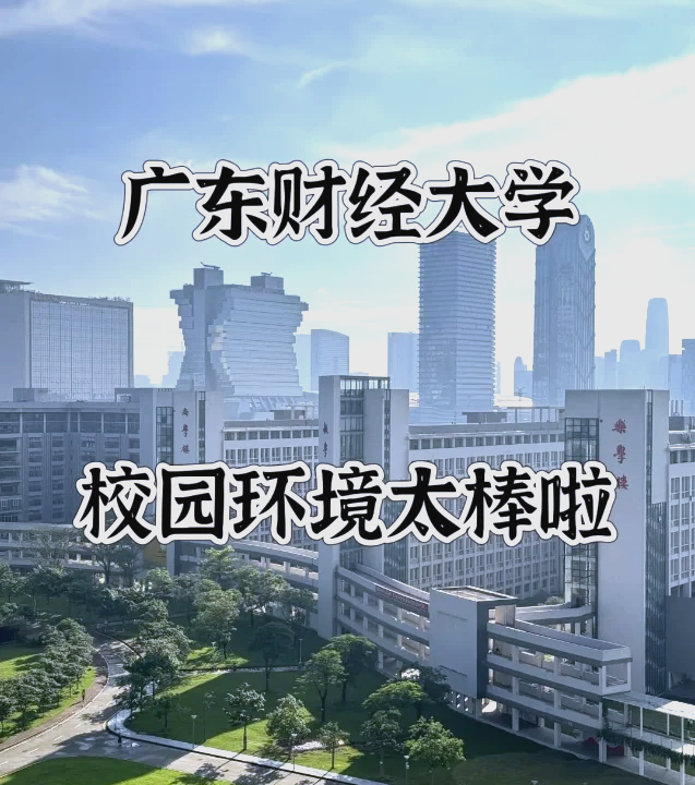 广东财经大学在哪个村(广东财经大学具体位置在哪里)