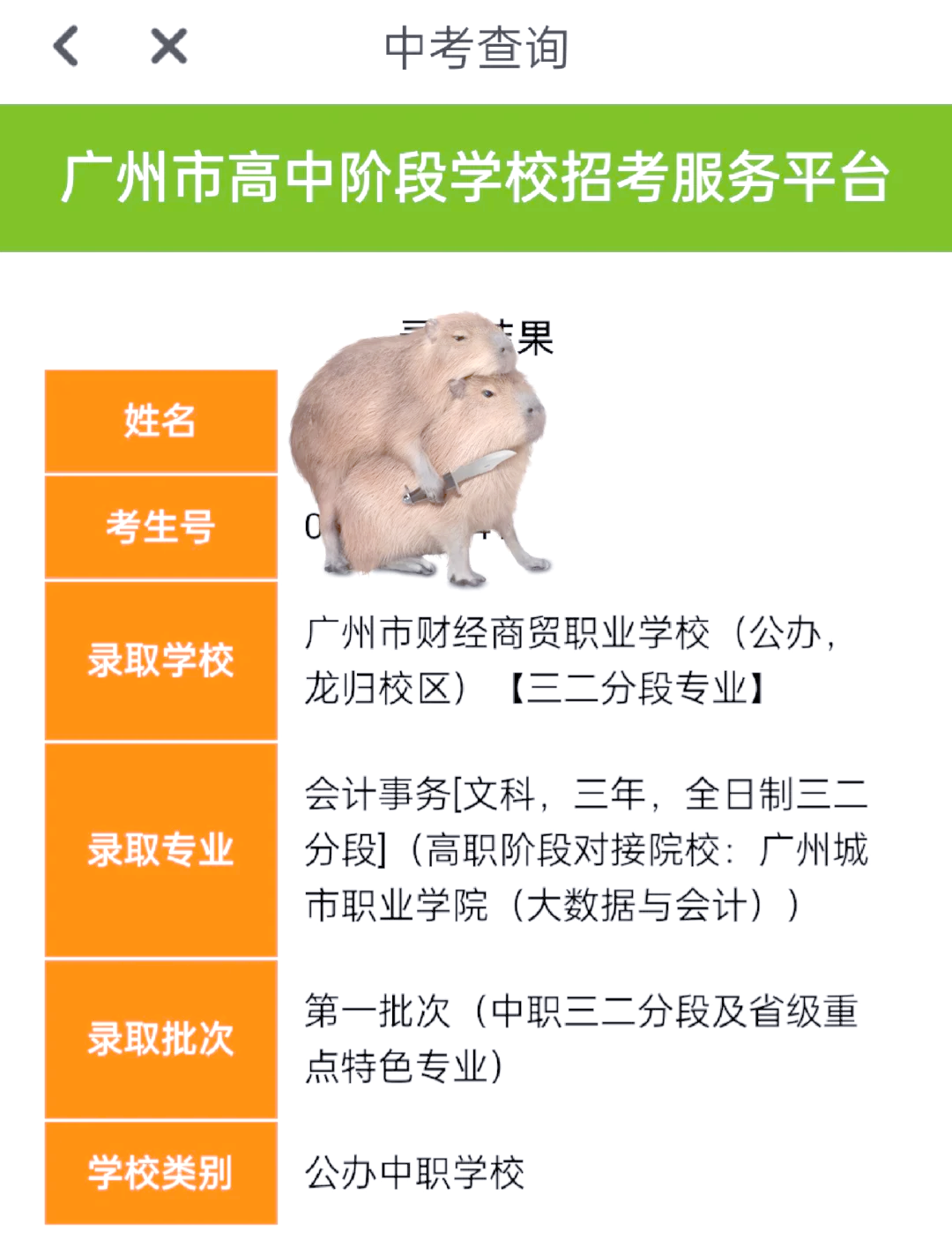 财经商贸类有什么专业(财经商贸类什么专业前景最好)