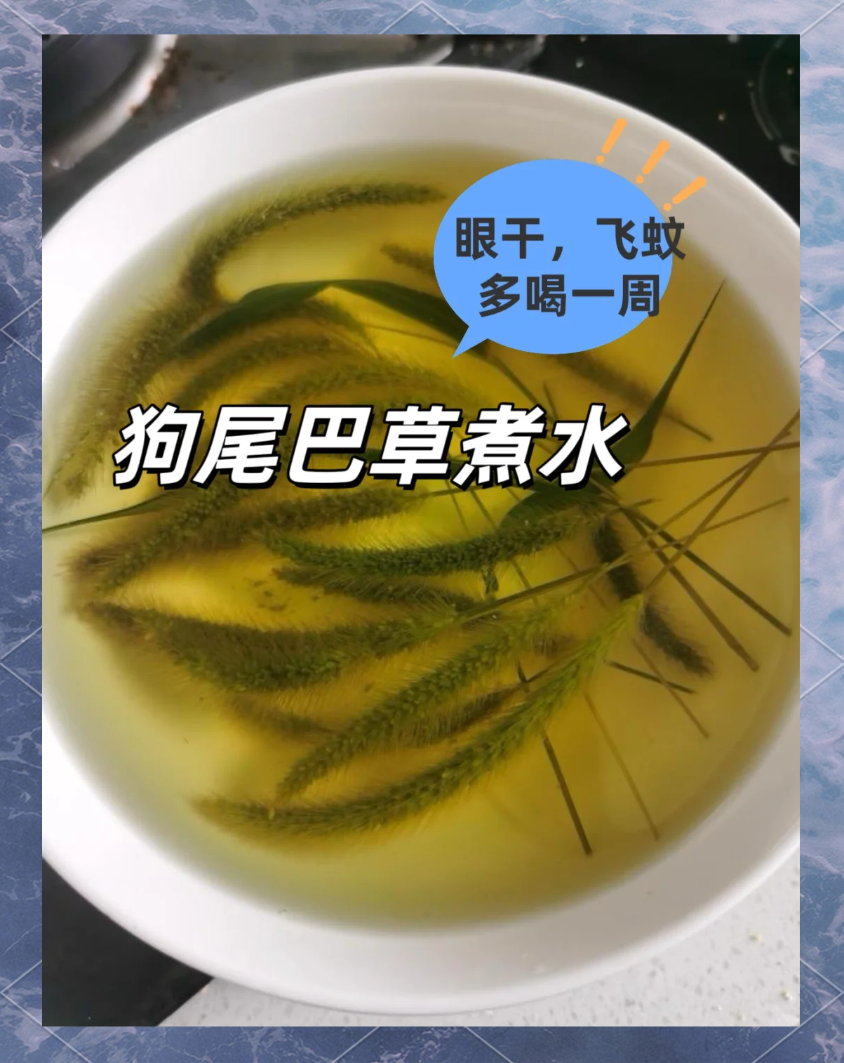 狗为什么吃狗尾巴草会死为什么在线