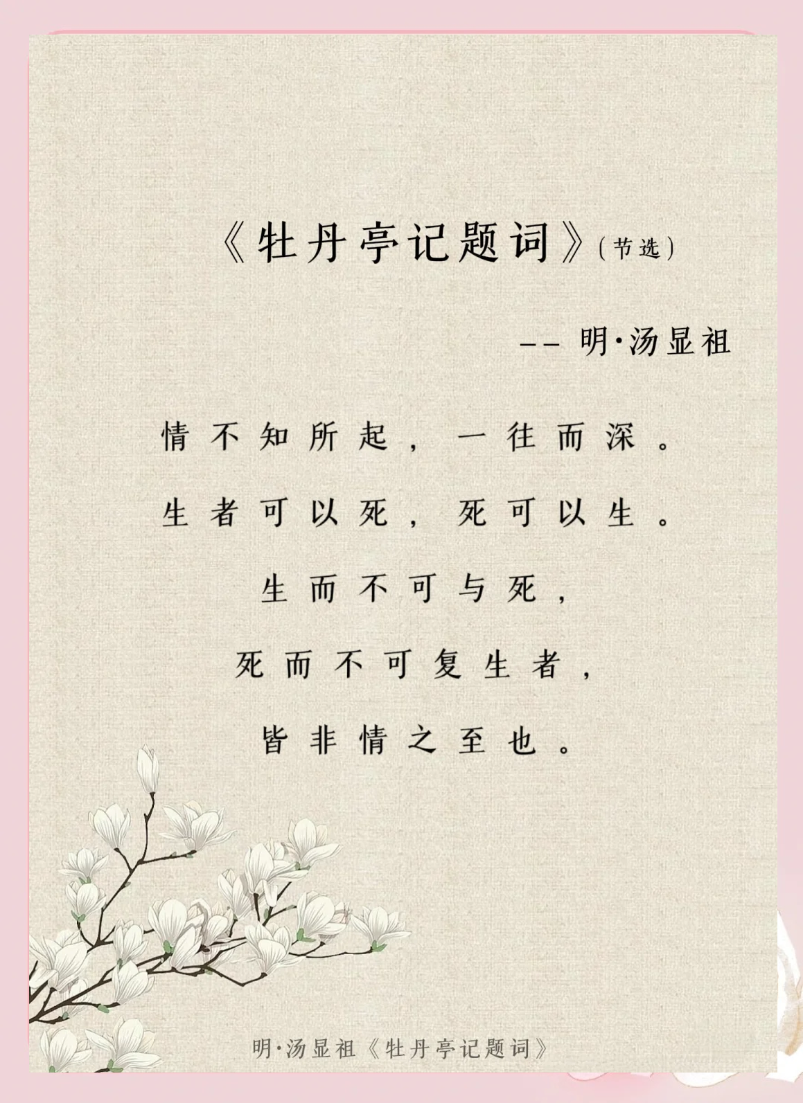 情不知所起一往而深全文