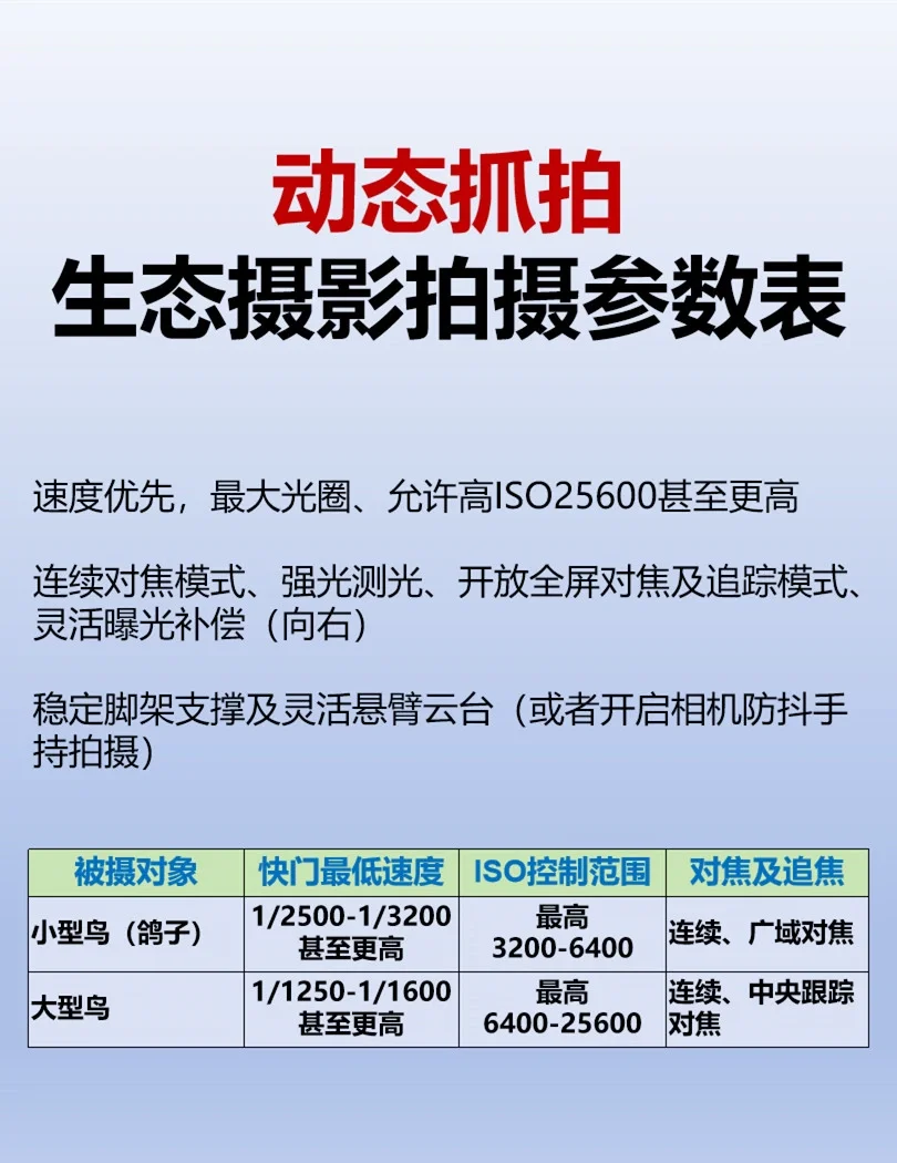 口袋摄影机拍摄教程，技巧大全