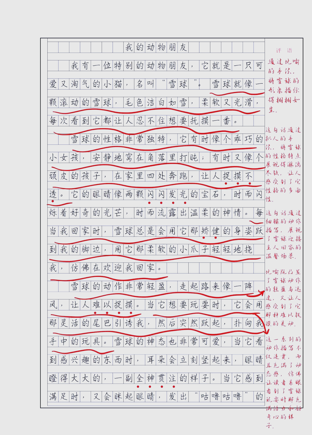 700字优秀作文加批注