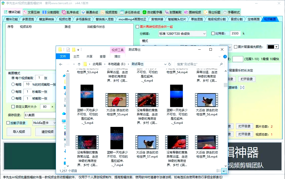 视频软件青什么(视频软件叫啥)