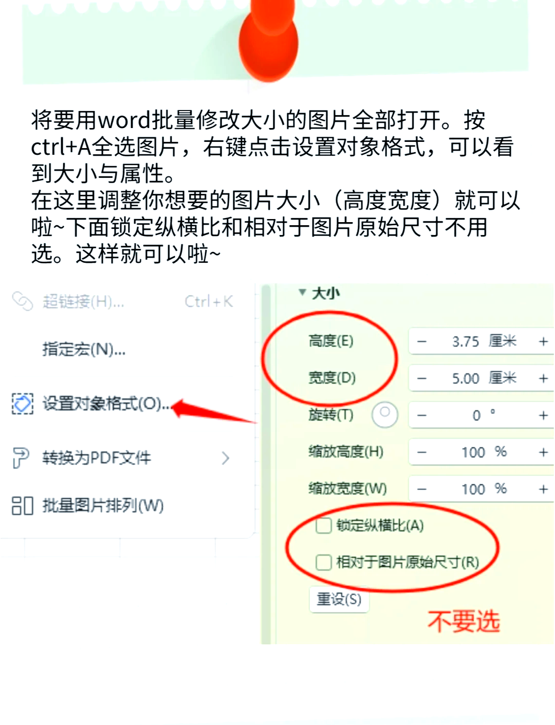 word表格尺寸设置方法
