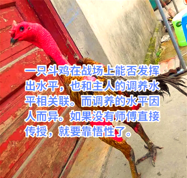 搓斗是什么意思(搓斗是什么意思啊)