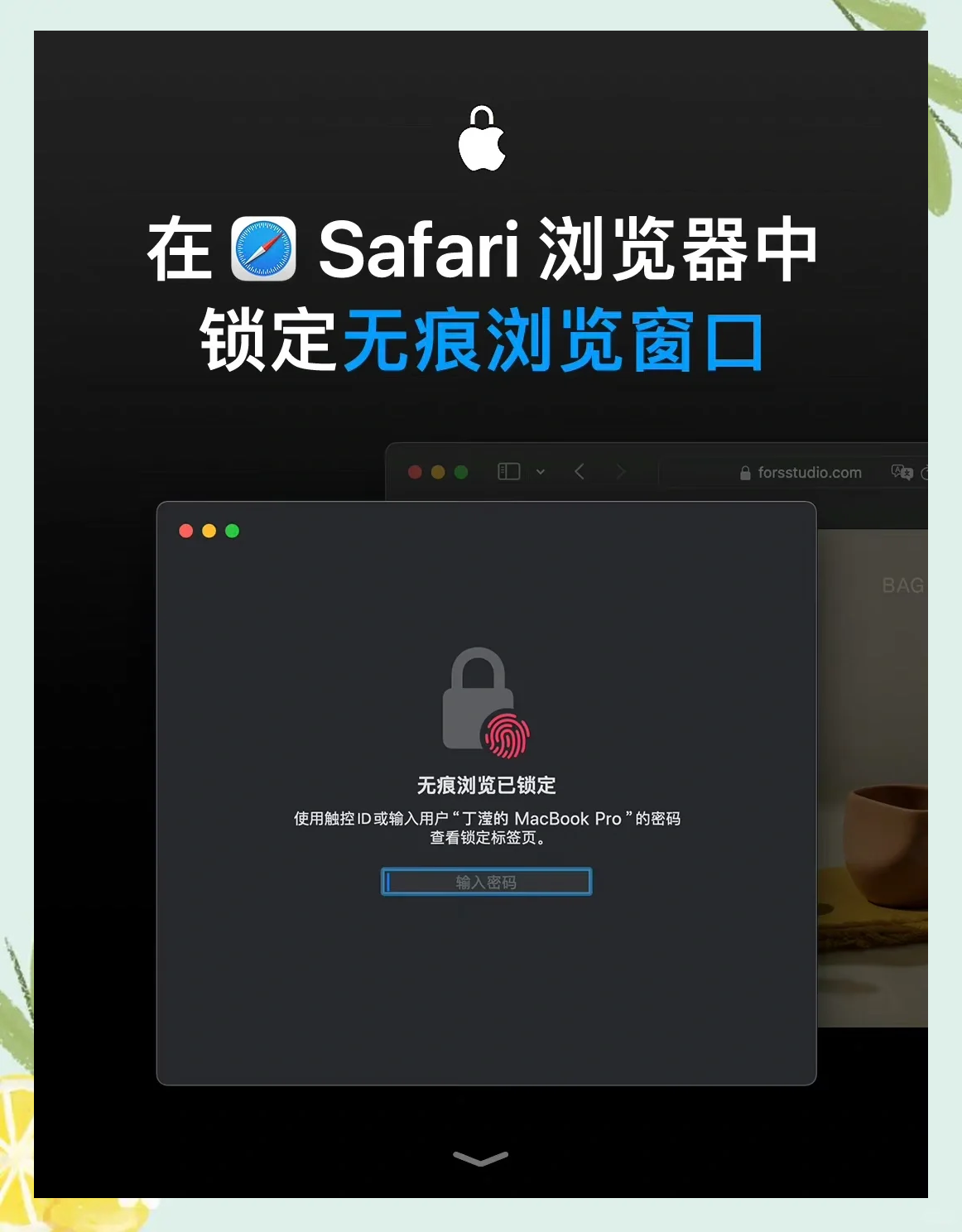 safari地址栏百度无法搜索引擎=safari地址栏百度无法搜索引擎怎么回事