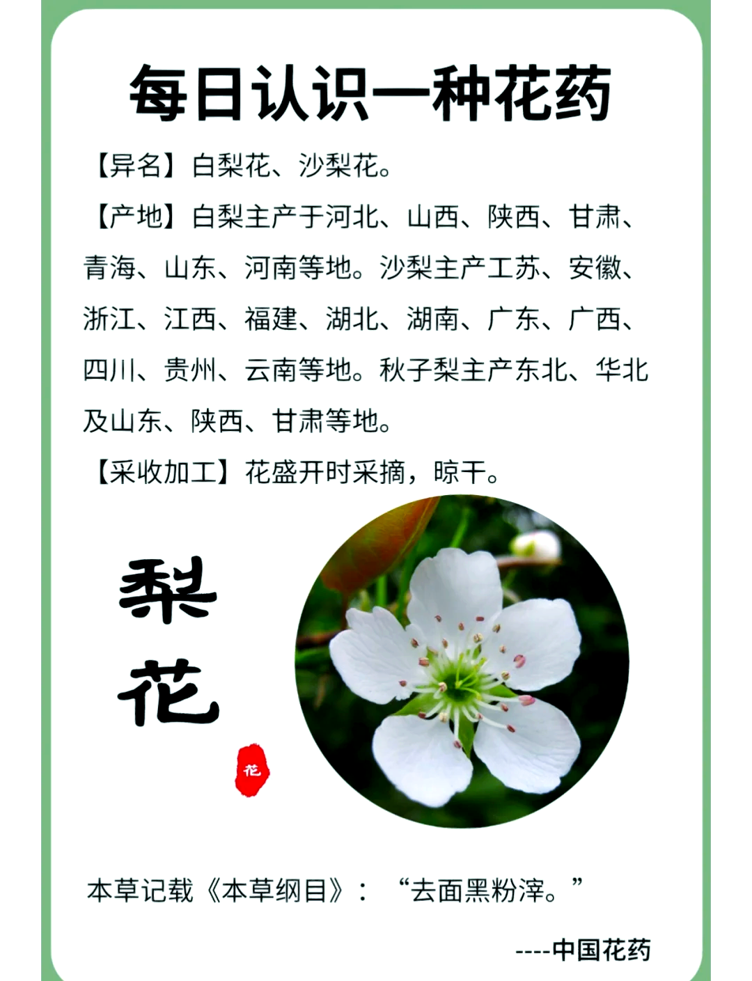 三年级我的植物朋友观察记录卡梨花(三年级我的植物朋友观察记录卡多肉)