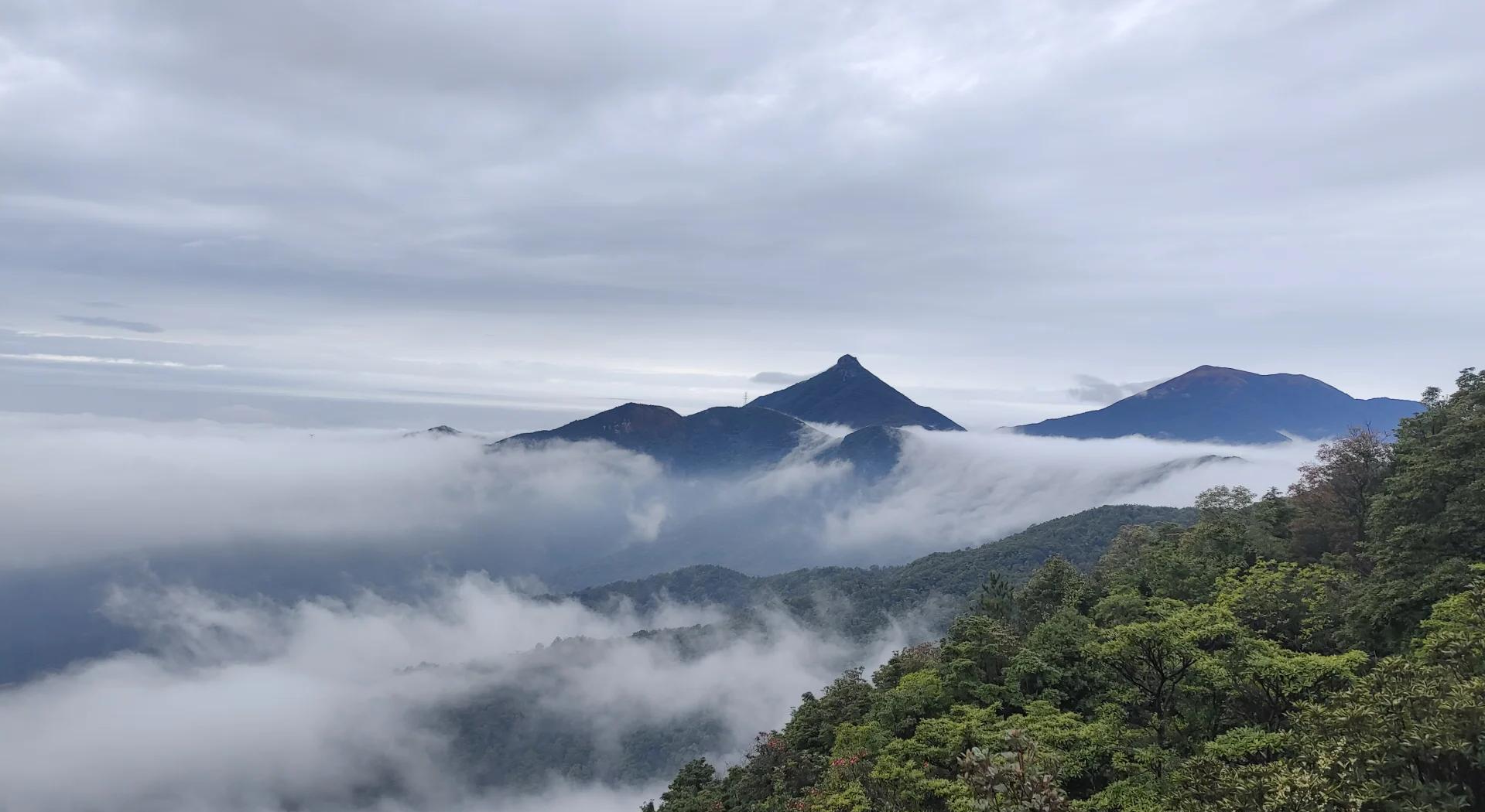 东莞清溪镇天气预报