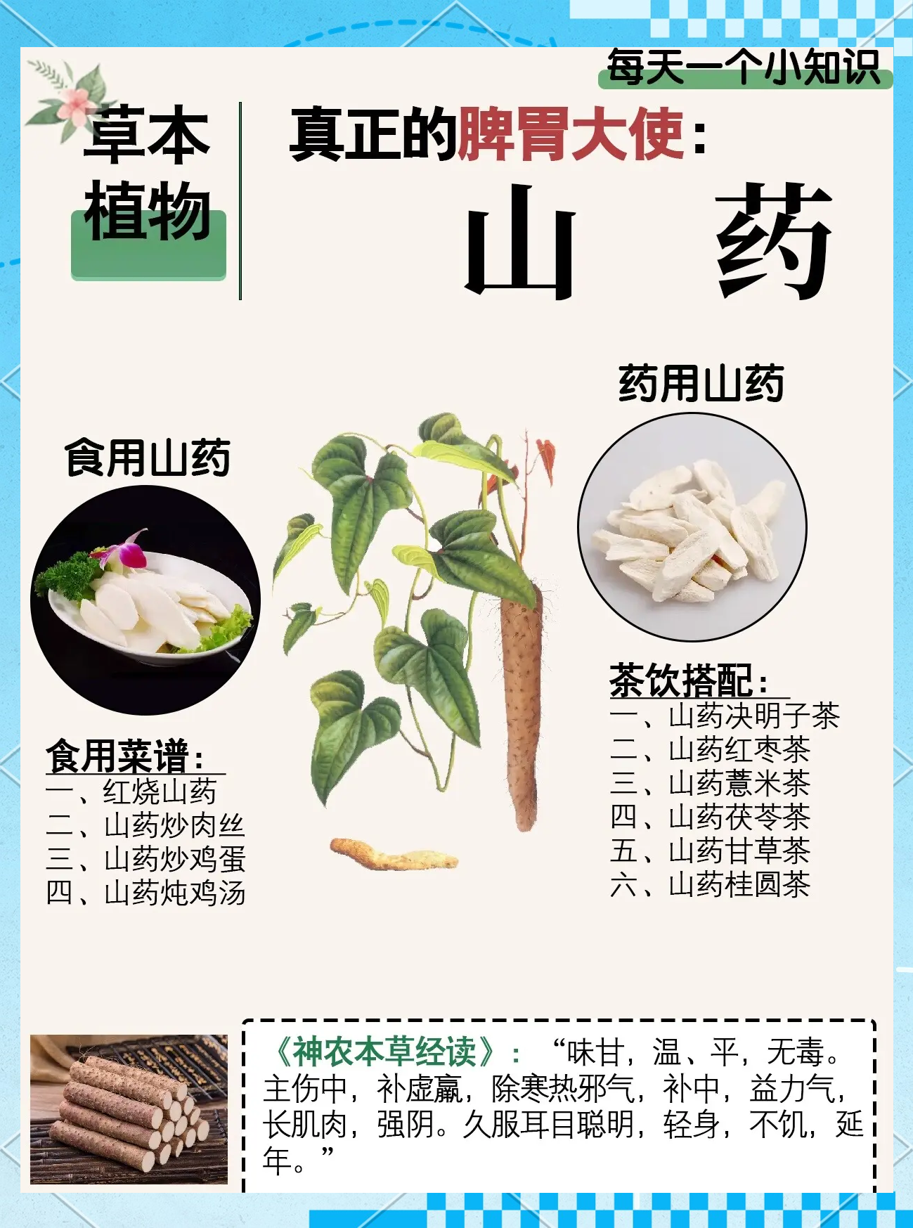 为什么山药会痒