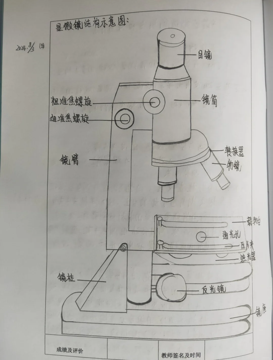 包含初一生物显微镜使用实验步骤的词条