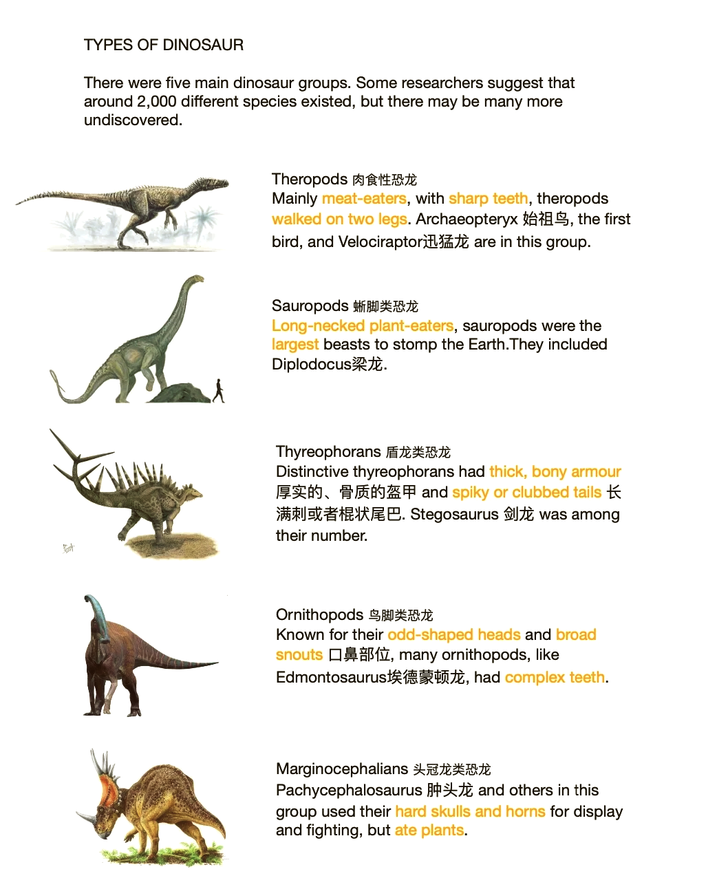 实战技巧：提升狩猎效率的小秘密
