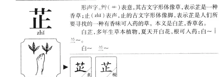 芷字为什么不能乱用