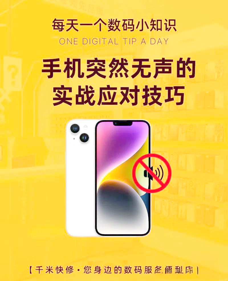 苹果为什么没声音(苹果为什么没有快充)