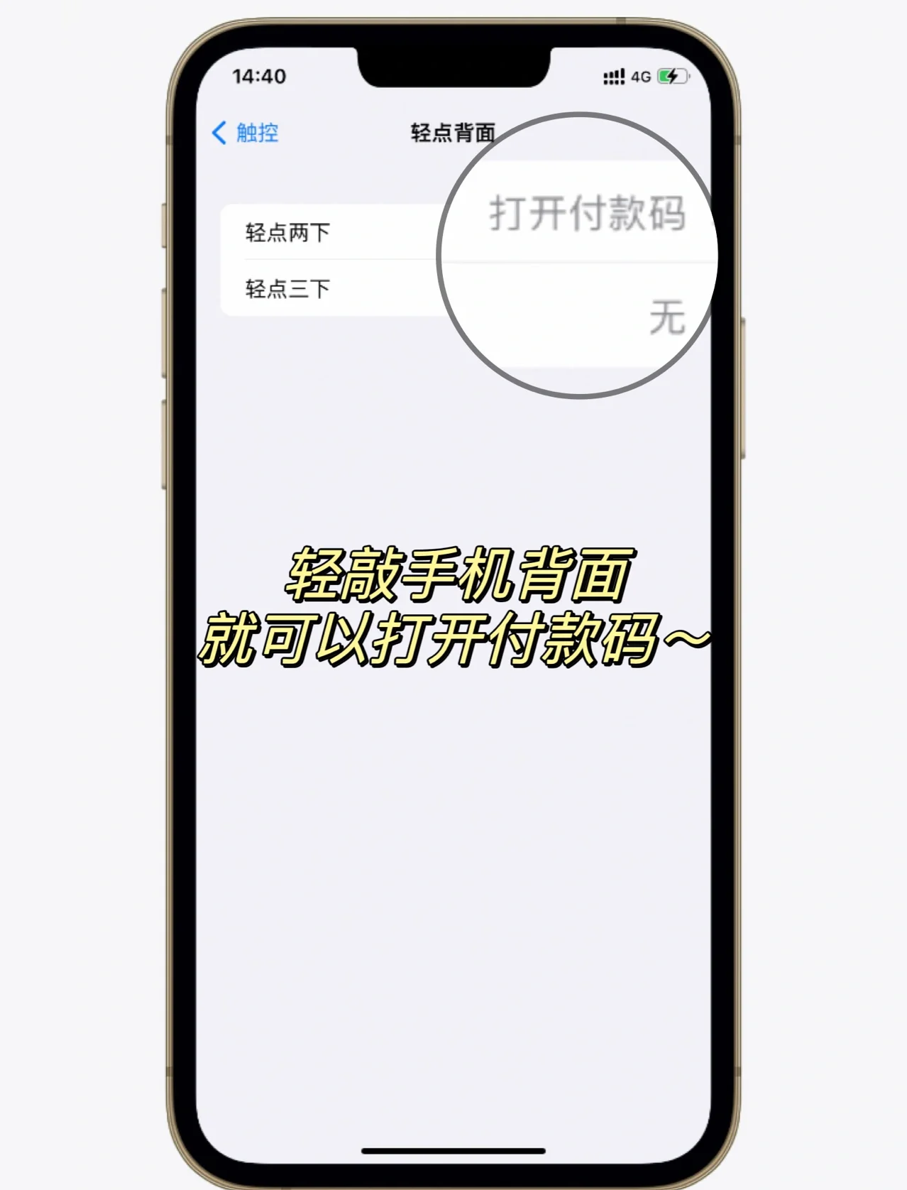 苹果微信付款码url