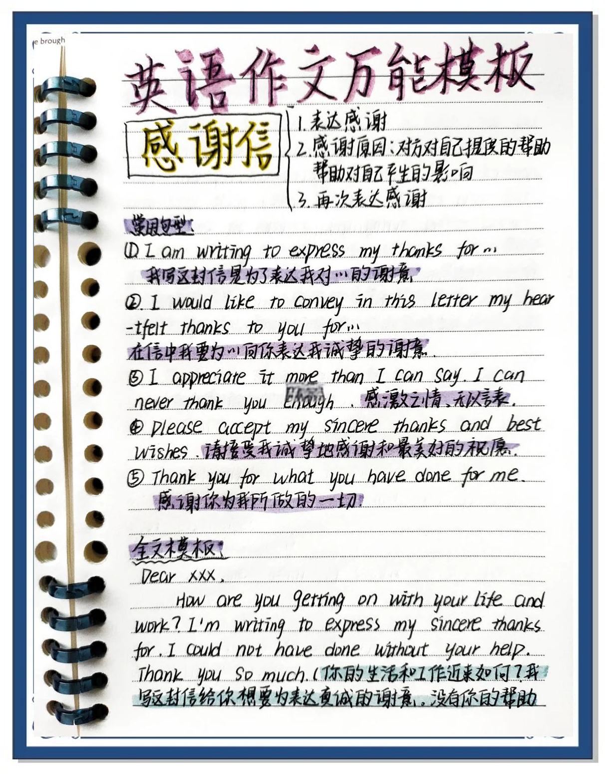 包含小学英语道歉与感谢用语（高频）的词条