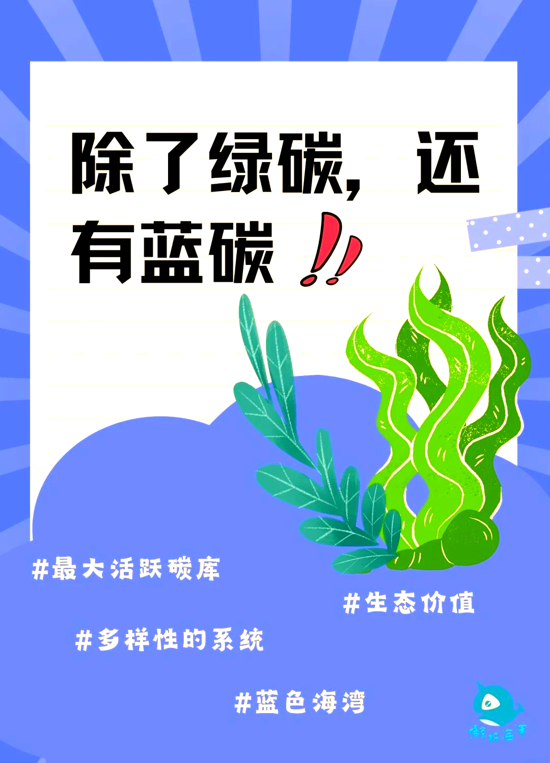滨海蓝碳生态系统，滨海蓝碳生态系统的代表