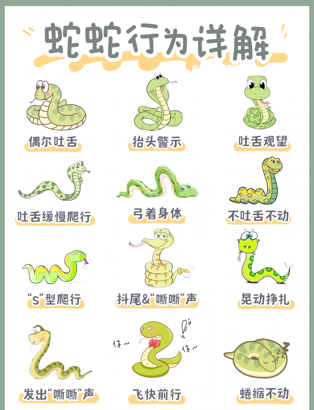 蛇会不会主动攻击人类