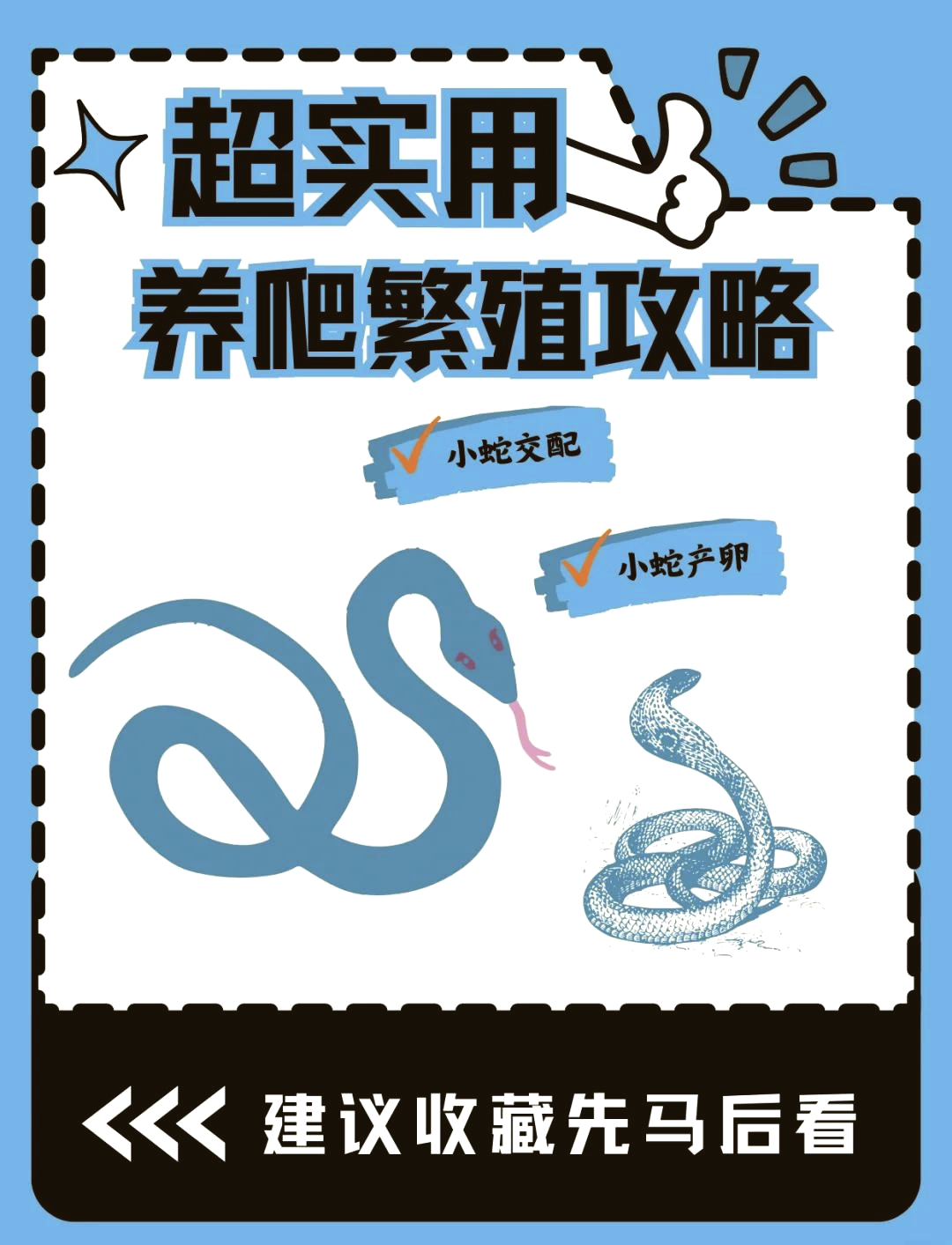 蛇是怎么过夫妻生活的