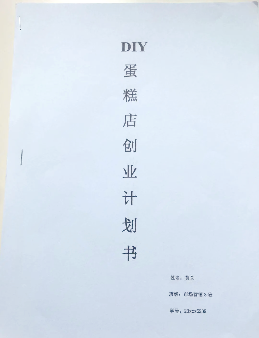 diy蛋糕店项目计划书