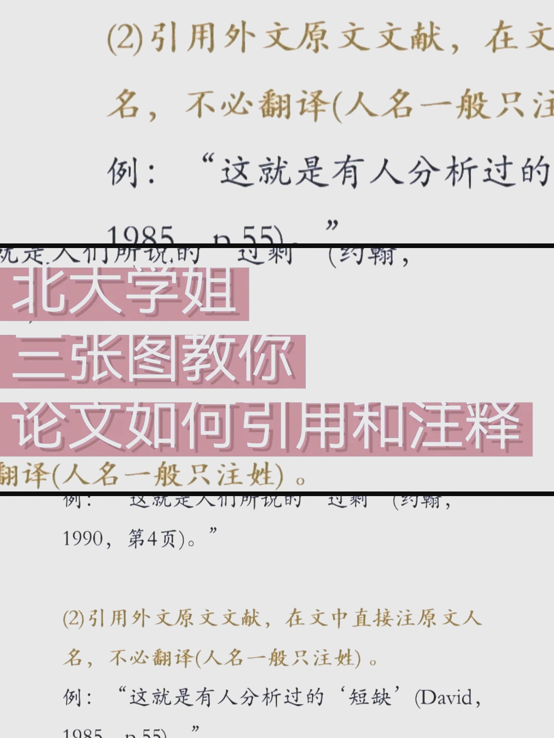 引用的表达意思