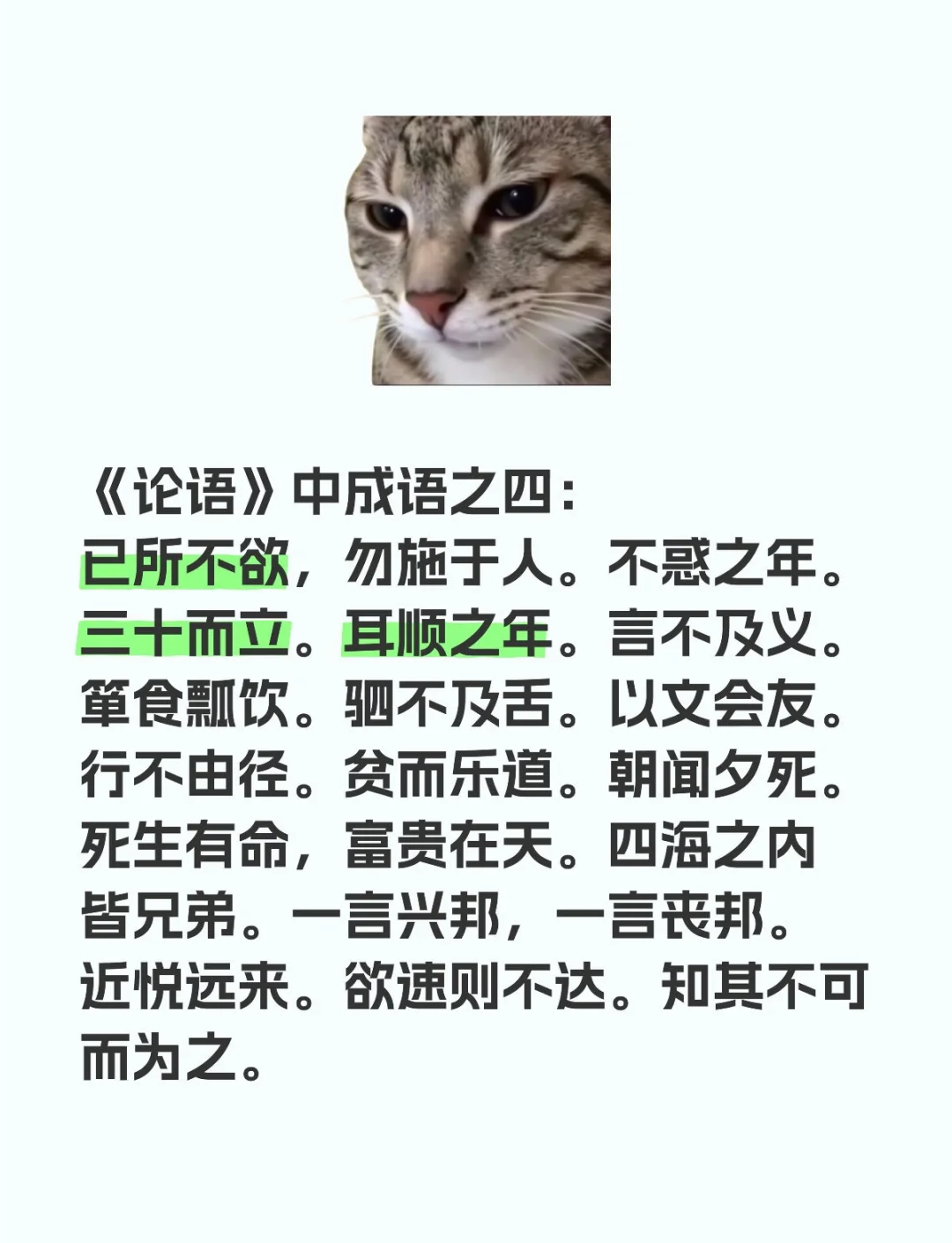 与哲学相关的成语(与哲学相关的成语有哪些 哲理又是什么)