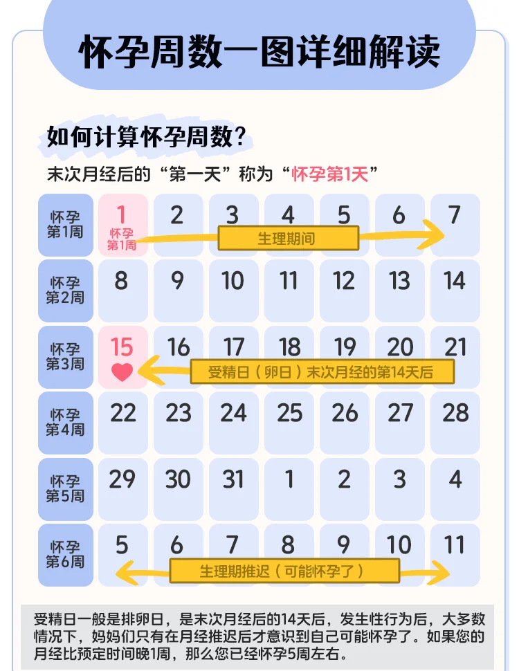 免费算何时怀孕生子