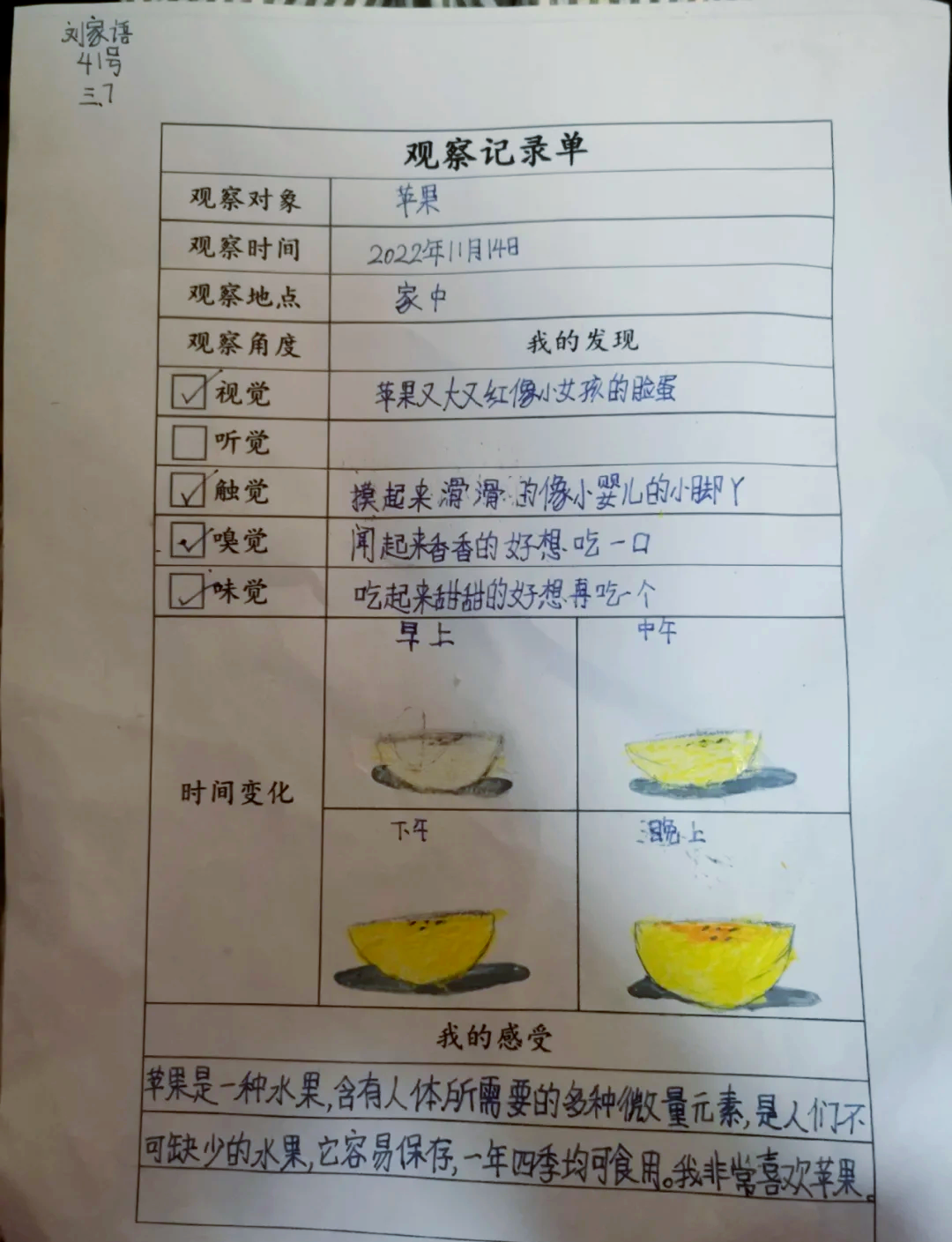 植物观察记录单三年级语文怎么写(植物观察记录单三年级语文怎么写呀)