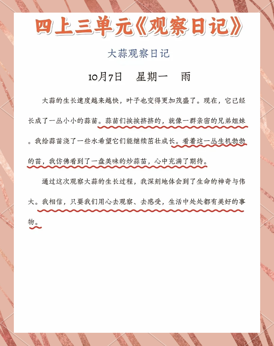 大蒜生长的日记300字三年级(大蒜生长的日记300字三年级怎么写)