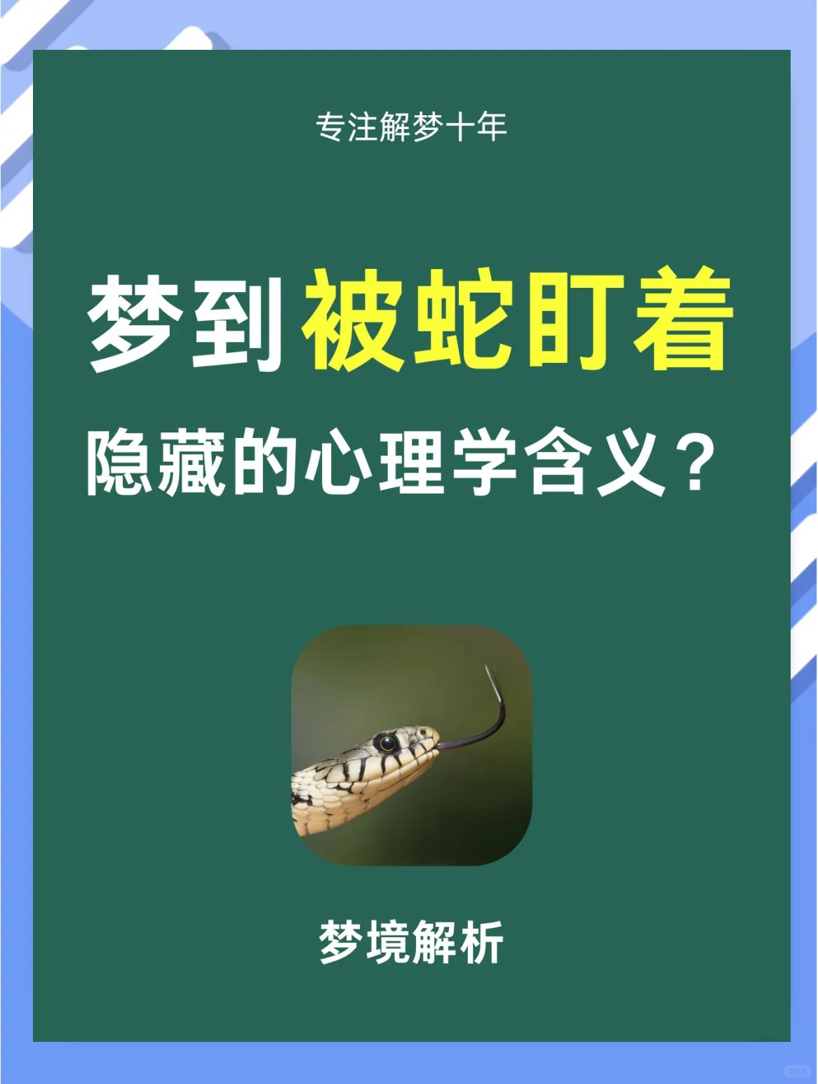 梦见蛇预示着什么（小姑娘梦见蛇预示着什么） 梦见蛇预示着什么（小姑娘梦见蛇预示着什么） 卜算大全