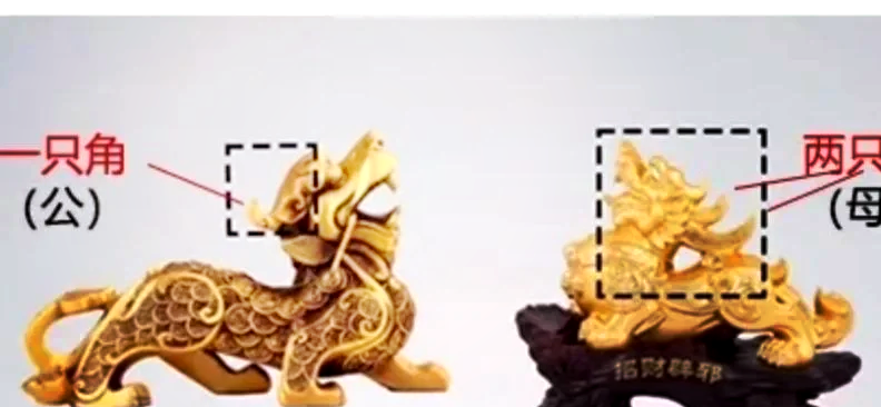 怎么判断是真的皮丘