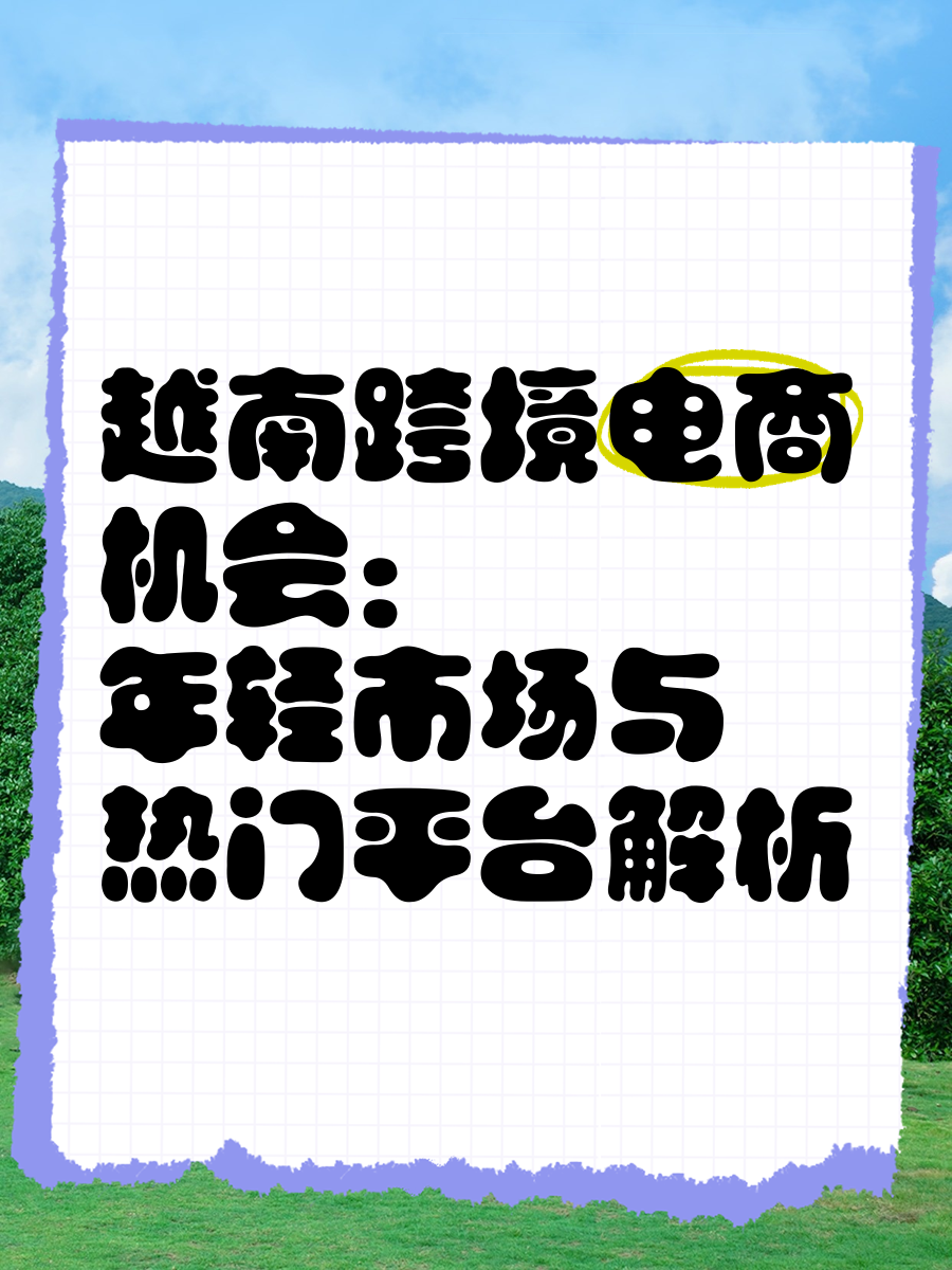 越南用什么电商平台-越南用什么电商平台好