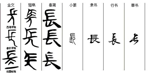 长字的字形演变