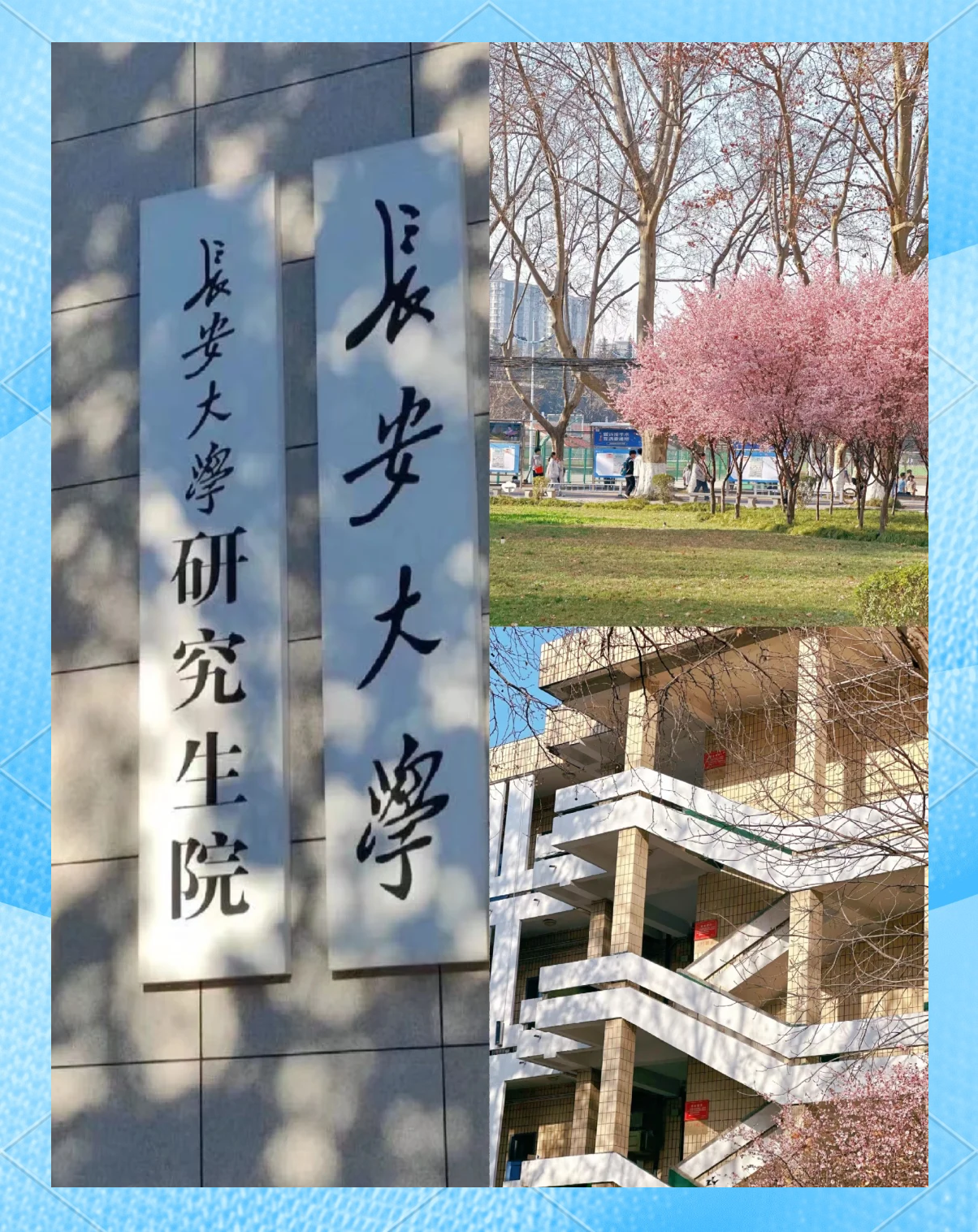 长安大学取消考研（长安大学取消考研考试） 长安大学取消考研（长安大学取消考研测验
）《长安大学免试研究生》 考研培训