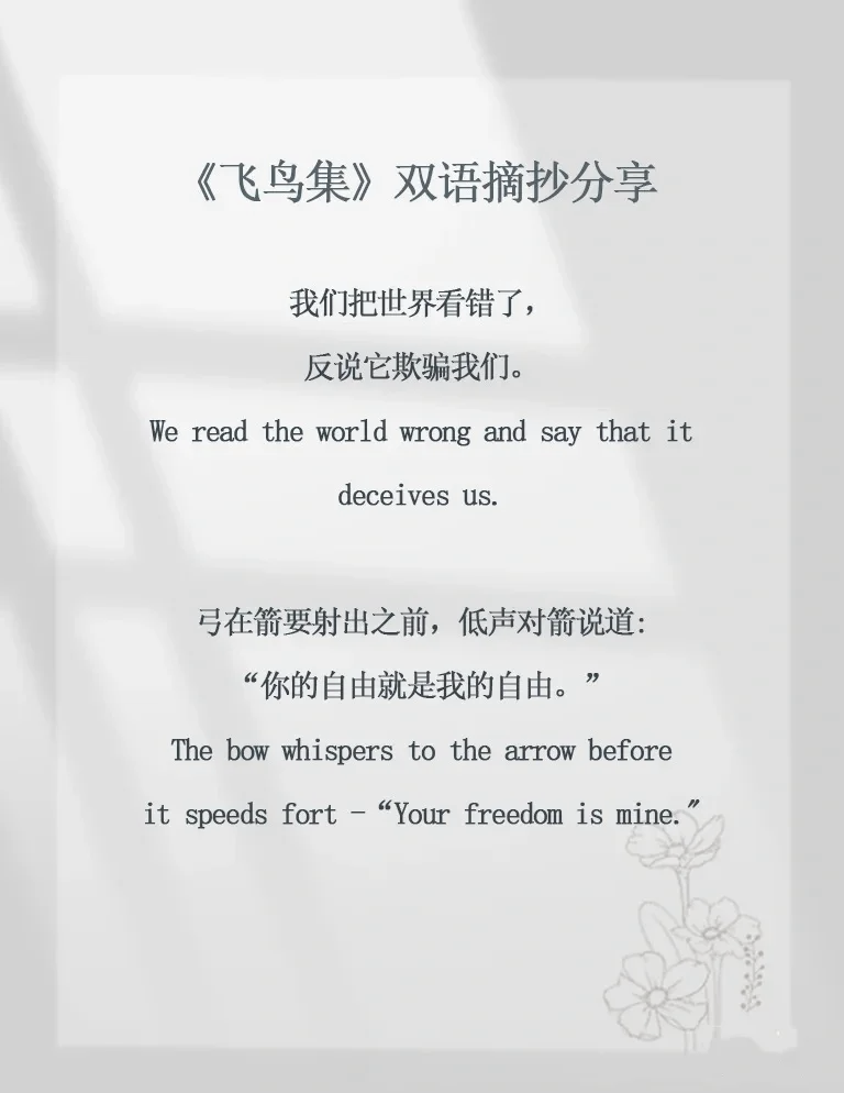 飞鸟集英文版=飞鸟集英文版经典段落摘抄