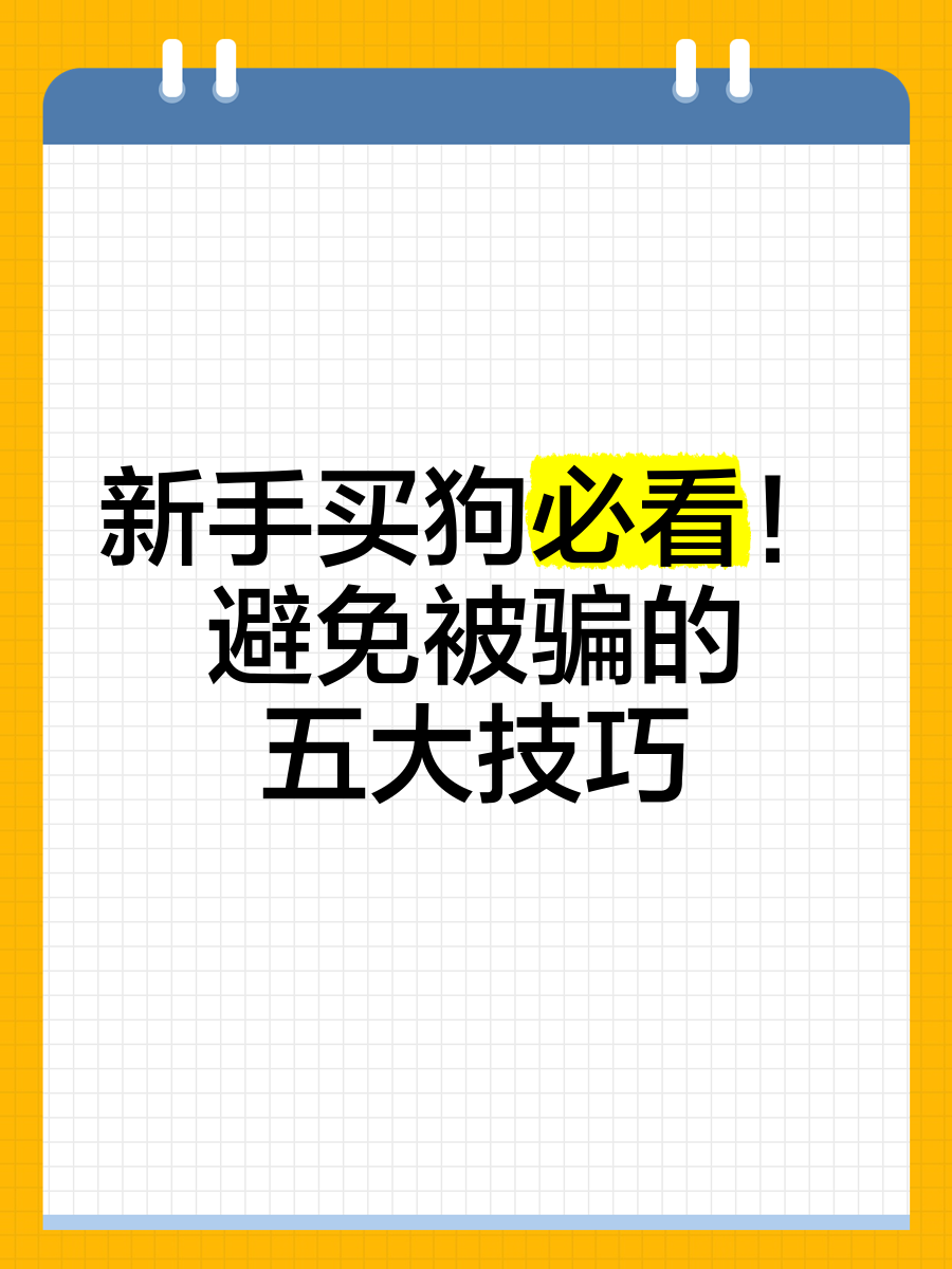 新手如何通过网络挣钱又不会被骗(新手如何通过网络挣钱又不会被骗呢)