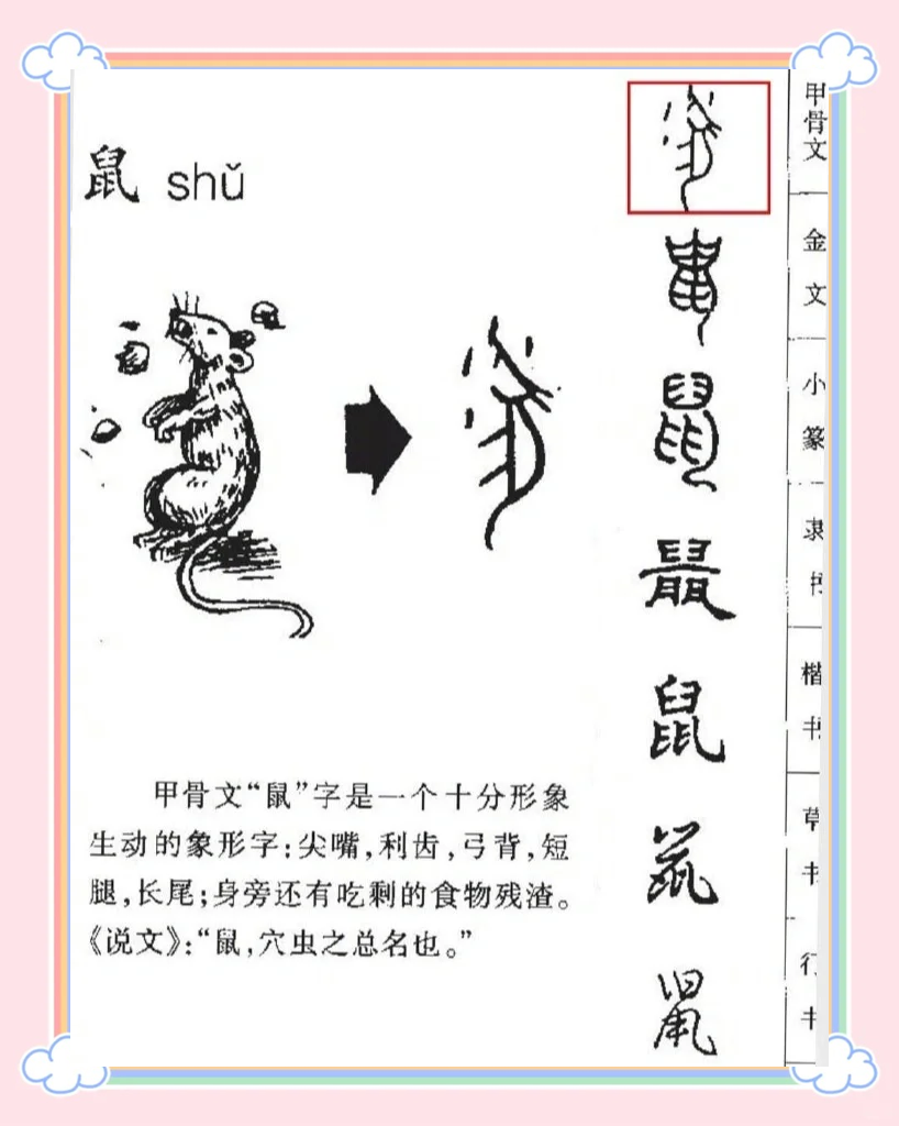 廓字代表什么生肖
