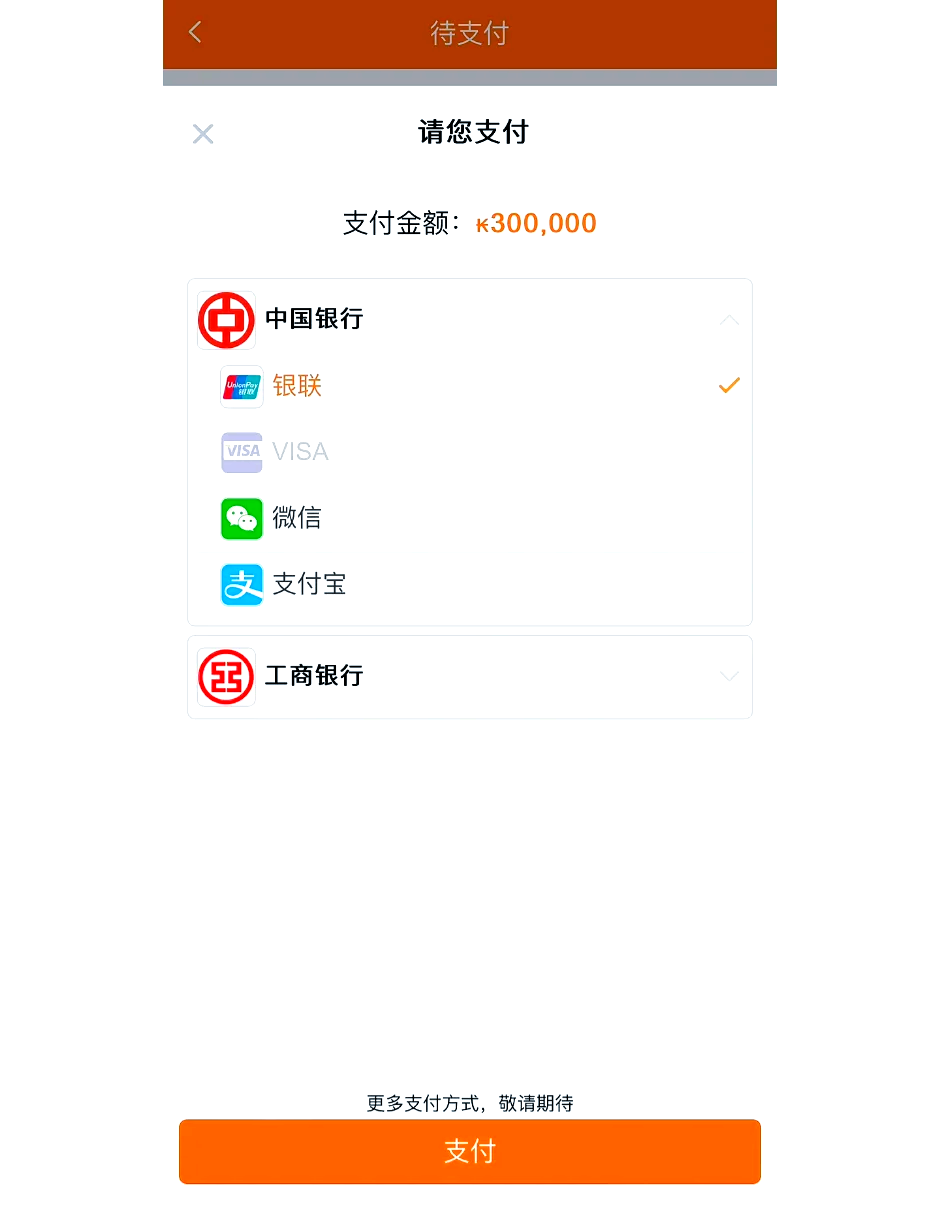 老挝网购用什么平台-老挝网上购物