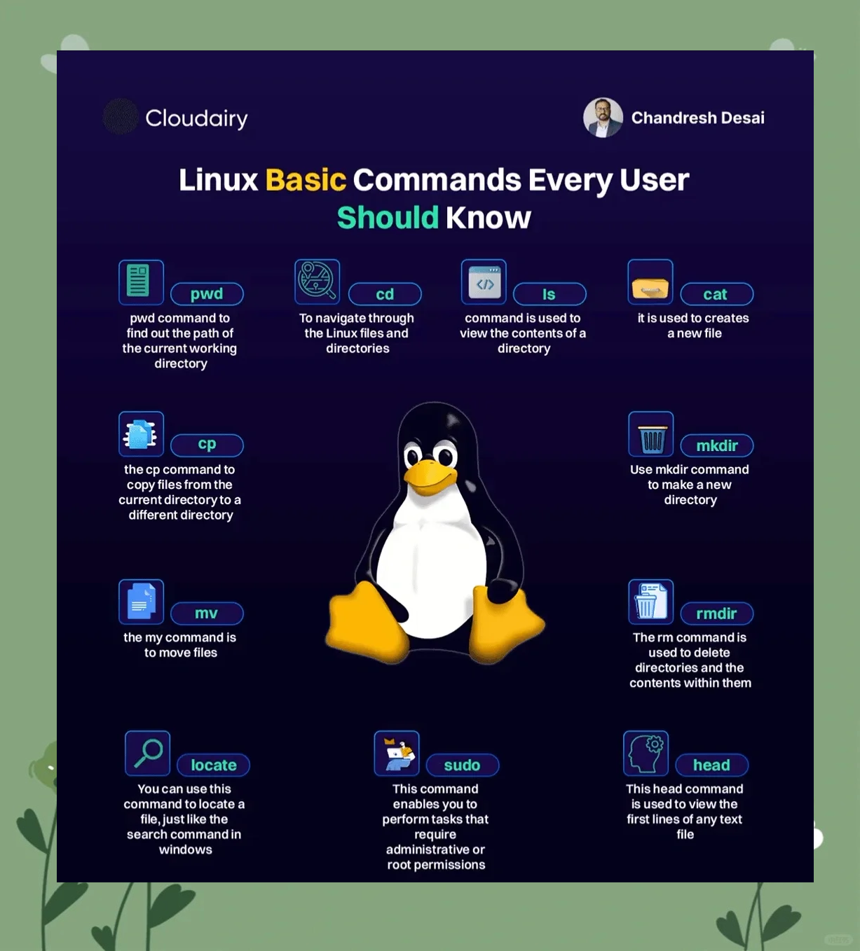 linux系统官网下载_download for linux