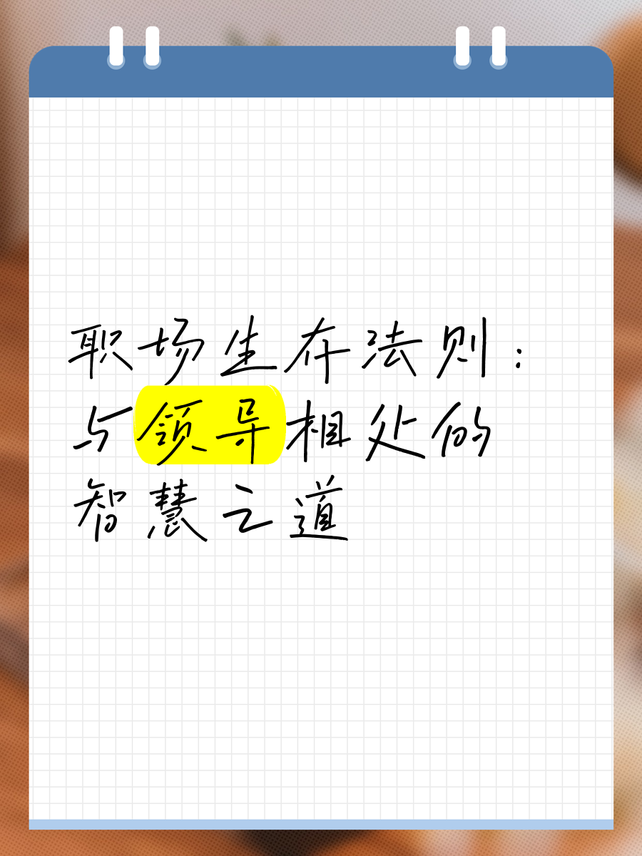 职场的生存法则和智慧新人的区别(职场的生存法则和智慧新人的区别在哪)