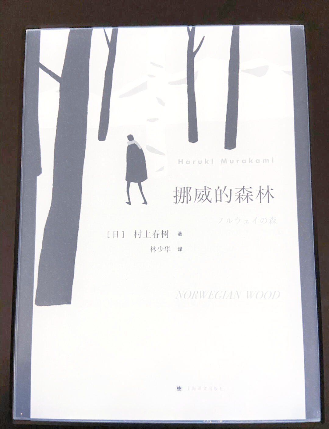 挪威的留学小说