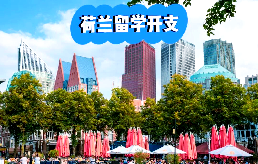 西安荷兰留学