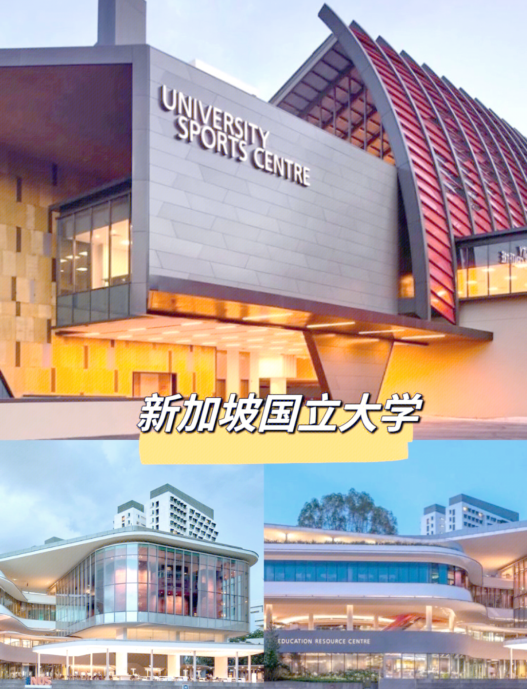 去新加坡留学学什么好