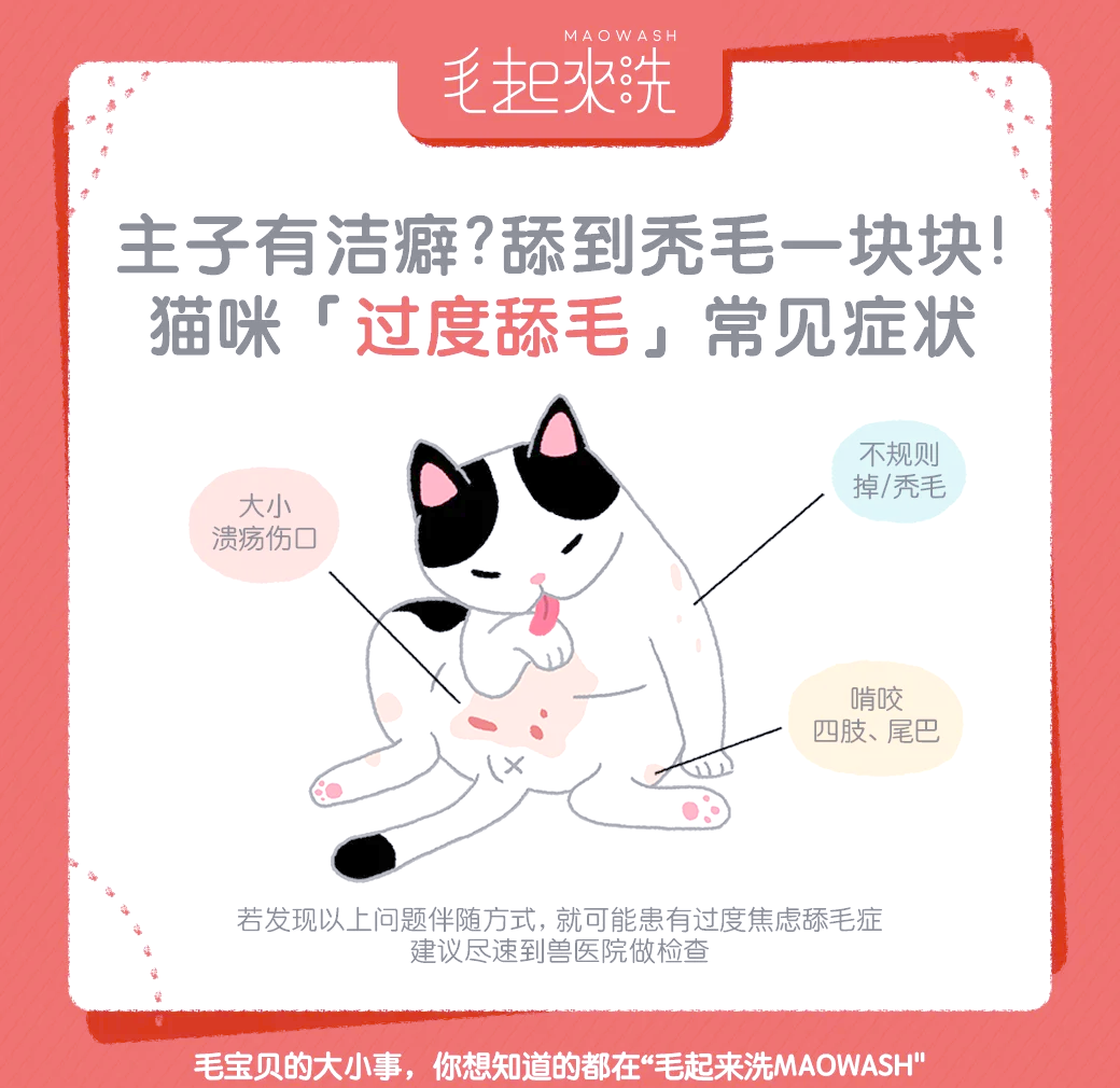 猫为什么会舔毛