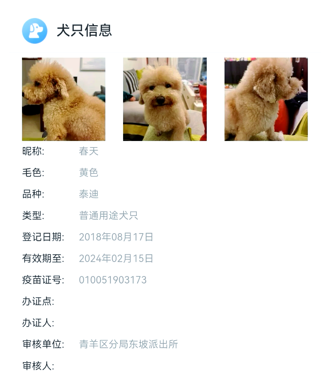 梨花狗邀请码=梨花狗邀请码怎么获得