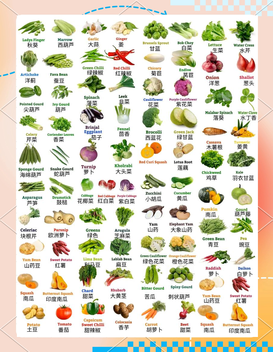 蔬菜类的英文单词，蔬菜类的英文单词怎么写