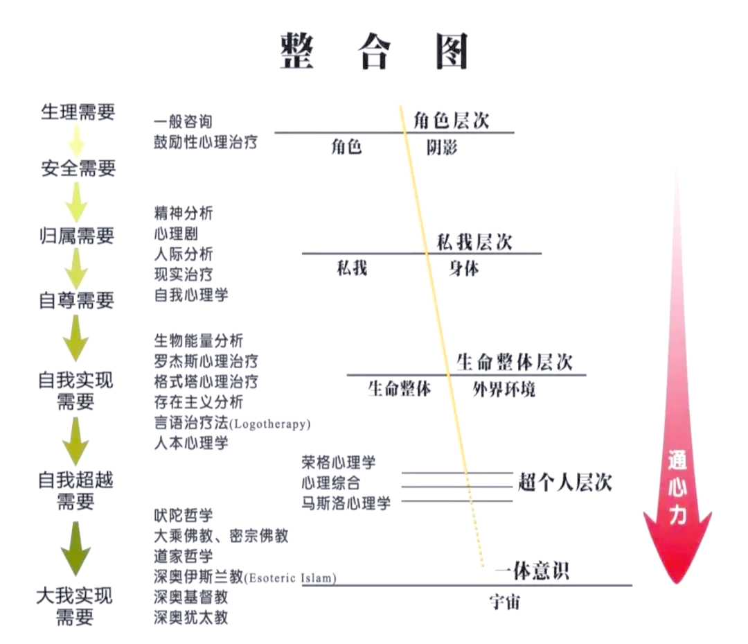 死亡分期及各分期表现