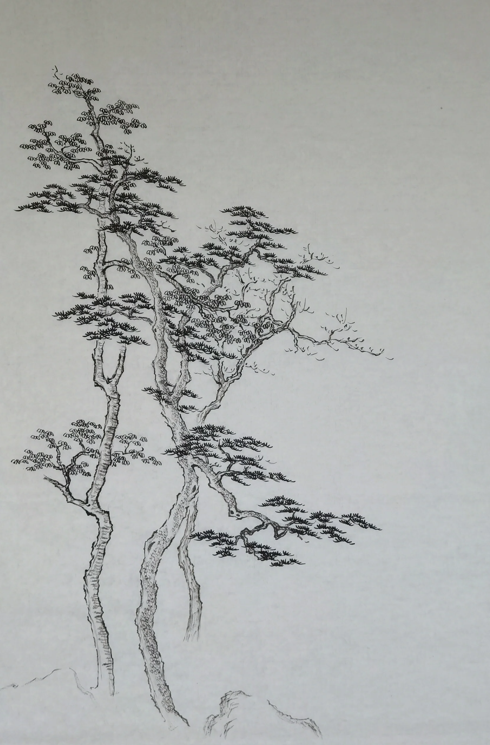 山水画构图摄影教程，一分钟就会